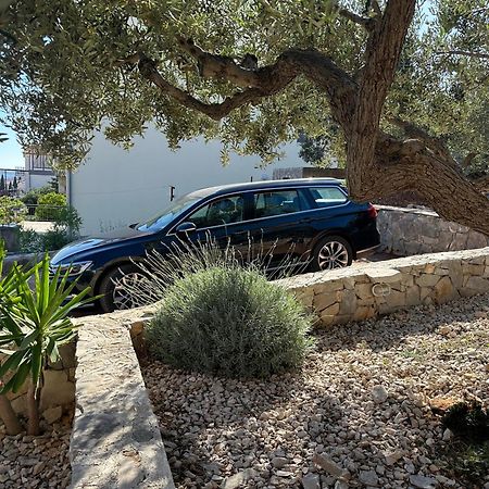 Primosten Apartments Εξωτερικό φωτογραφία